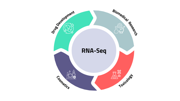 Understanding Gene Expression Through RNA Sequencing